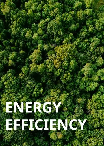 Image of globe with computer mouse